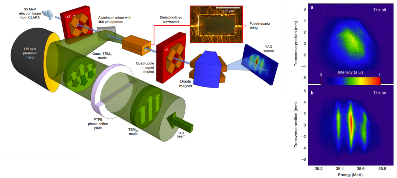 Fig. 1. Schematic of the THz-driven linear acceleration experiment at the CLARA test accelerator, and electron spectrometer images with and without THz interaction. (Image credit: Morgan Hibberd)