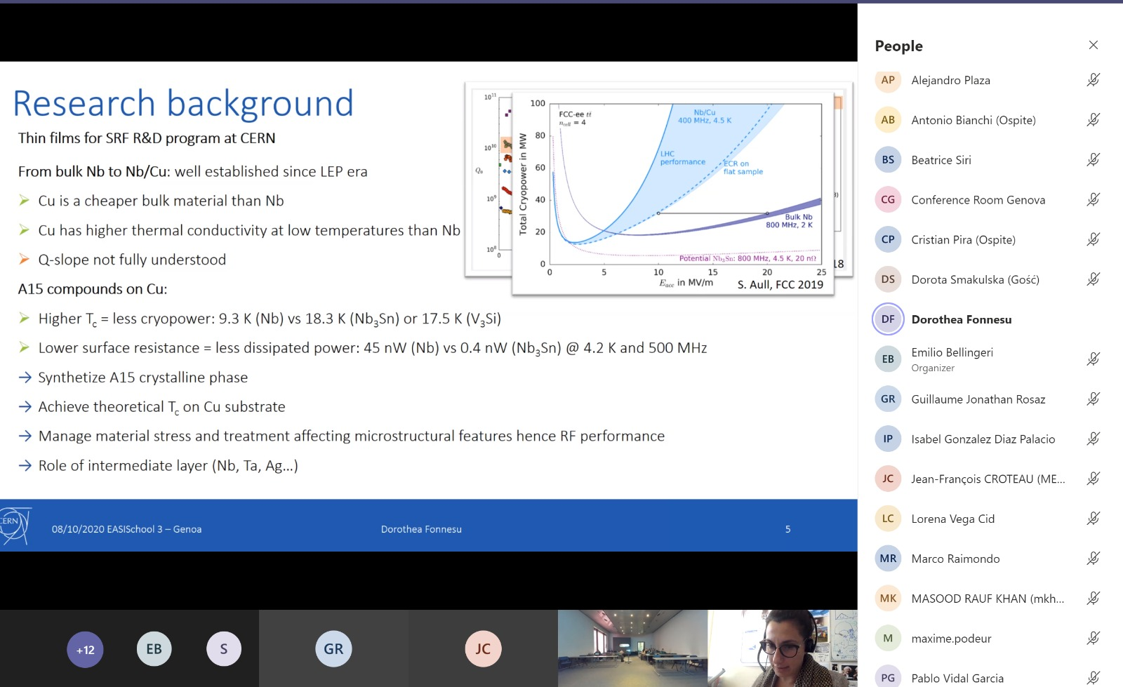 Picture 2: Remote talk from Dorothea Fonnesu (CERN) during the student workshop.