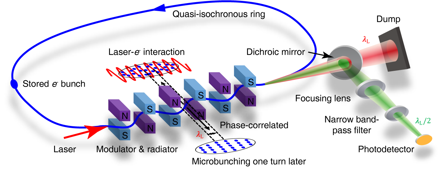 Experimental set-up. The stored electron bunches are modulated by a laser in an undulator. They become  microbunched after one complete revolution in the storage ring and produce coherent radiation. © PTB/HZB